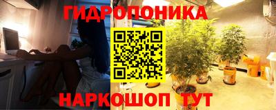 прущие грибы Ипатово