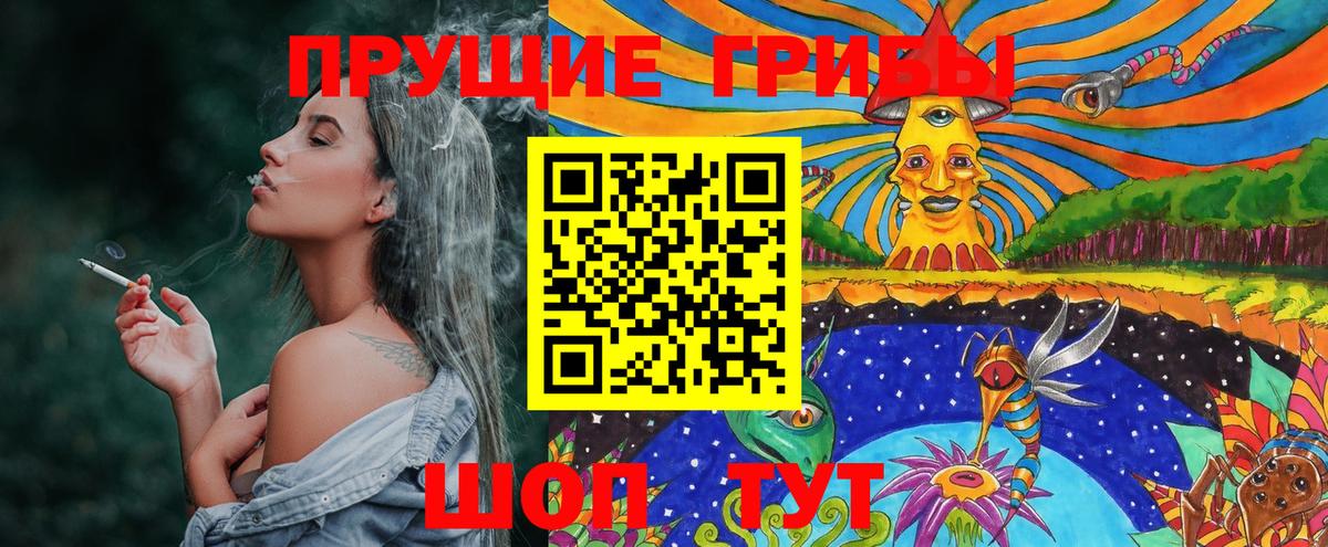 Красный Сулин  Галлюциногенные грибы Cubensis  Вход с VPN 