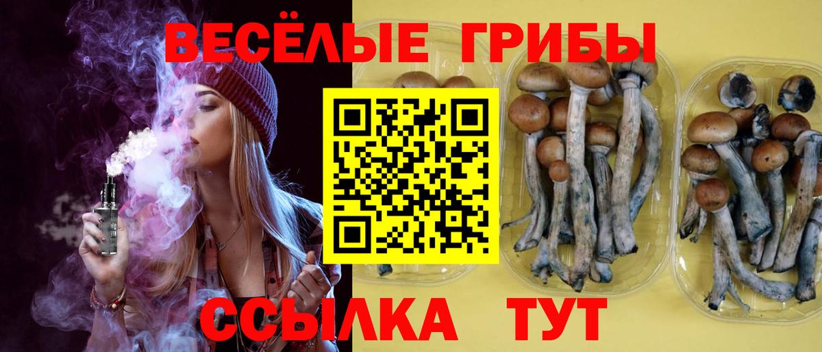 Псилоцибиновые грибы ЛСД Красный Сулин